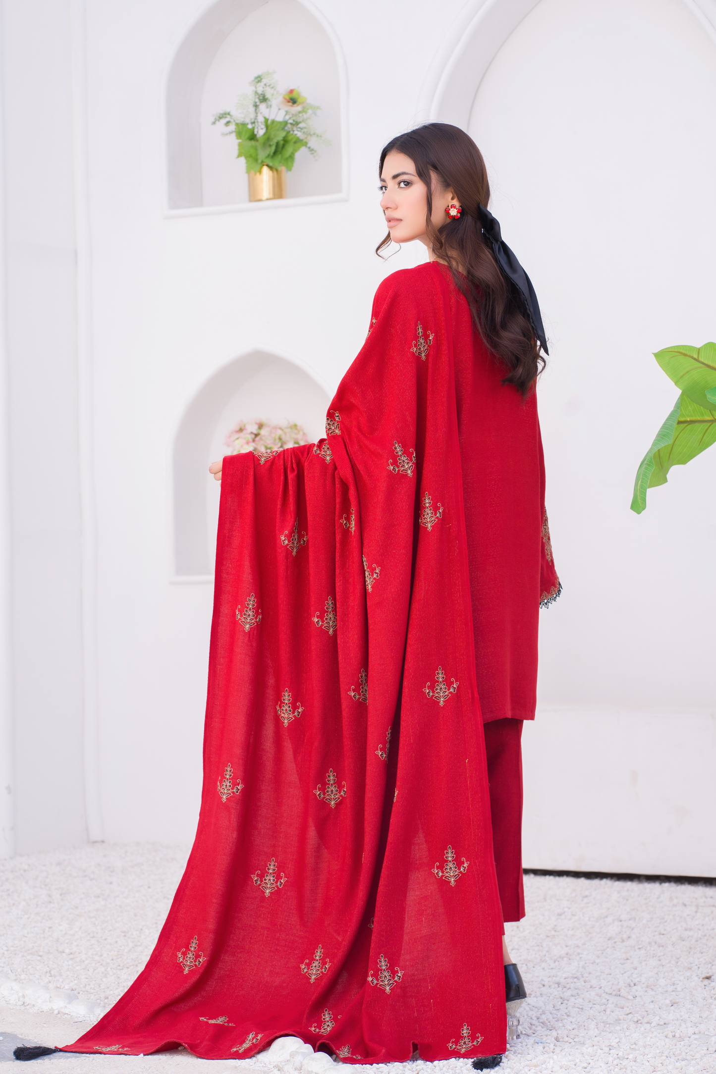 Red ZW-004